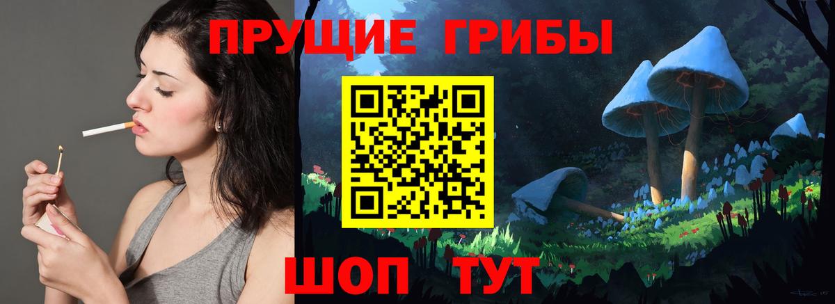 Галлюциногенные грибы GOLDEN TEACHER  Вход с VPN  Галлюциногенные грибы Psilocybe  закладки  Ялта 